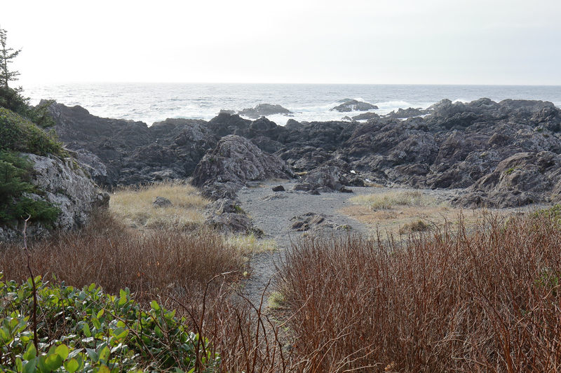 Illustration for article titled Trip Recap: 2017-12-09 on the Pacific Rim Highway to the Wild Pacific Trail